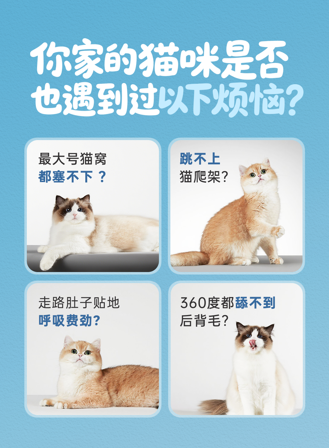 1ec51bcea8b5e0e913d1672ffb21ad24.png