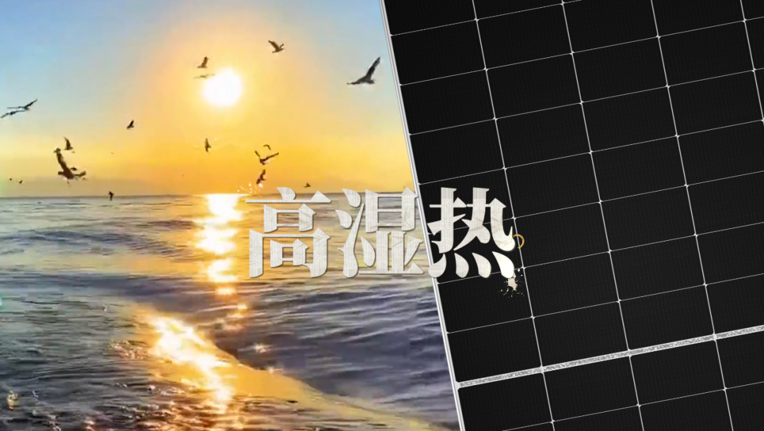 90a313f5596204a82ff2bc01cd68ca79.png