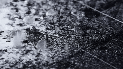 69a83a00cc58bc3a89017d6959be5b12.gif