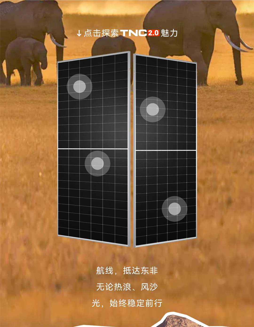 696c3b0e36d522ce3da49751164d12dd.png